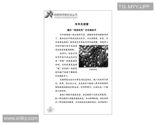 圣何塞地震与新英格兰革的影响与启示探讨